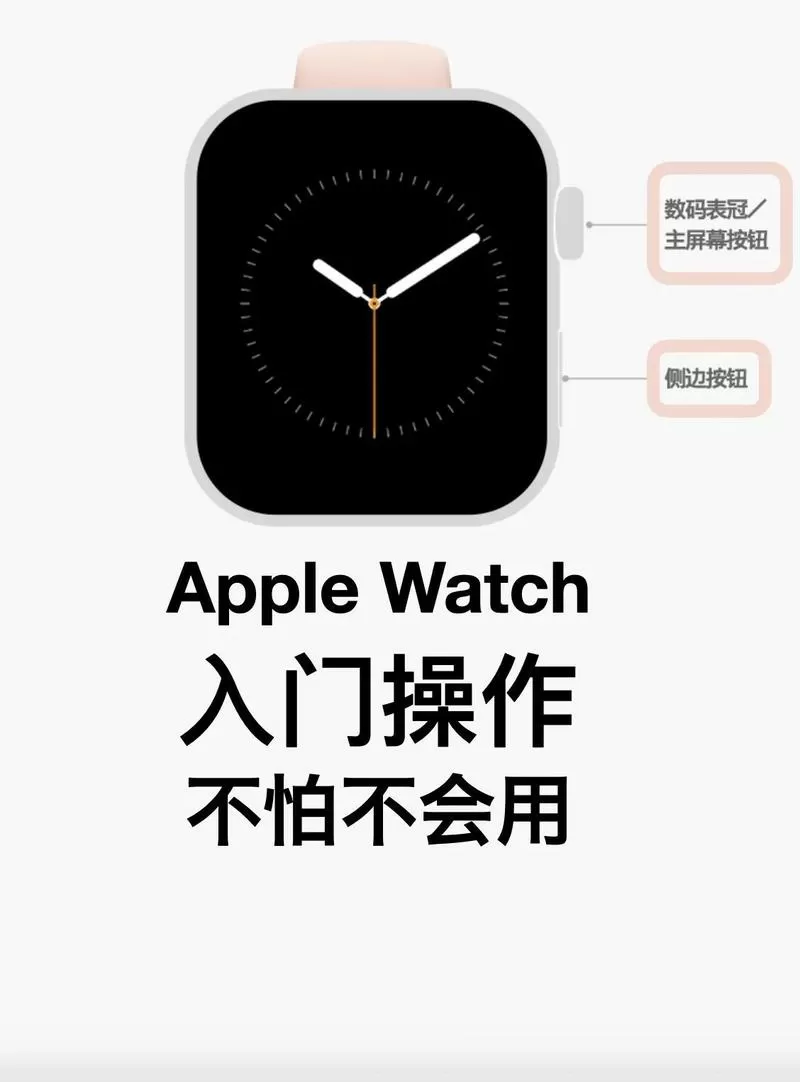 苹果手表无法关机