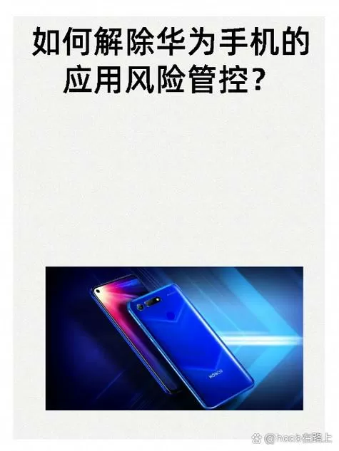 华为手机发现风险项怎么解除