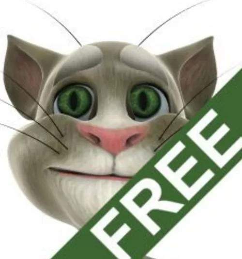 会说话的汤姆猫旧1下载