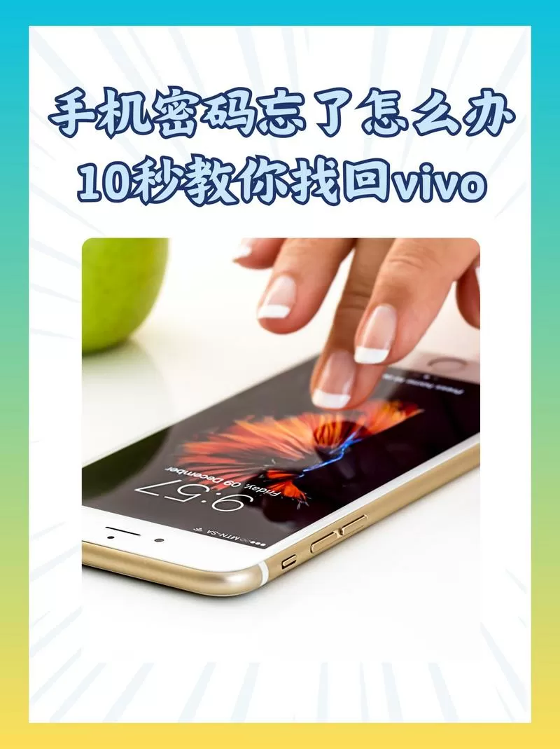 忘记手机账号密码怎么办vivo