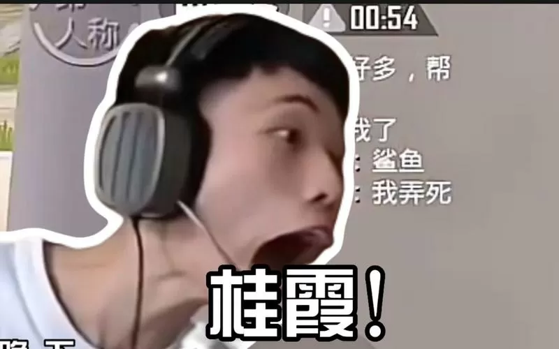 鲨鱼哟画面设置截图