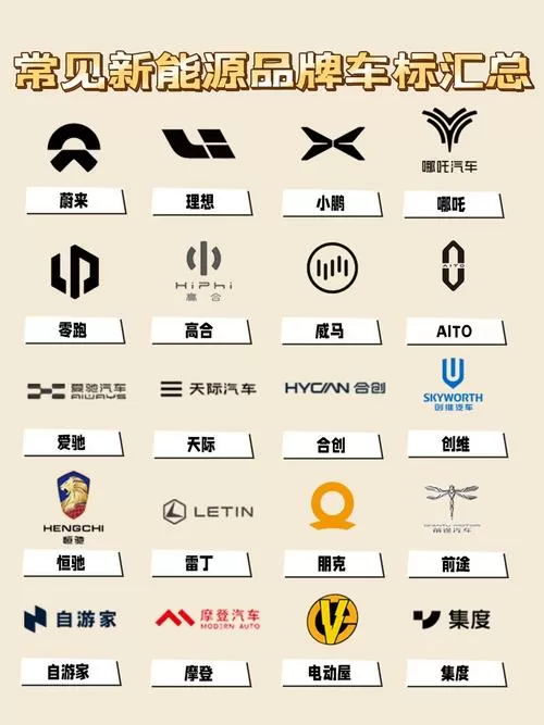 目前纯电动汽车哪个好