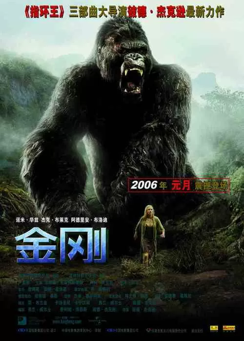 金刚2005国语版图标