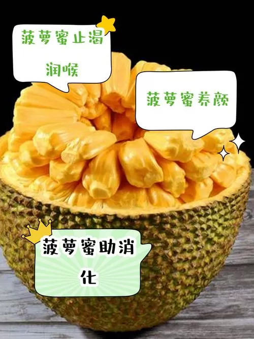 菠萝蜜和什么不能一起吃图标