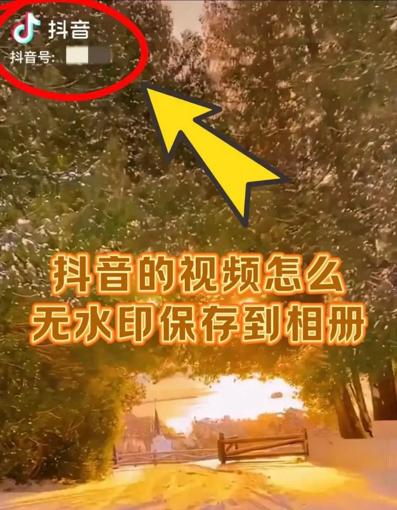 抖音保存本地的视频怎么找