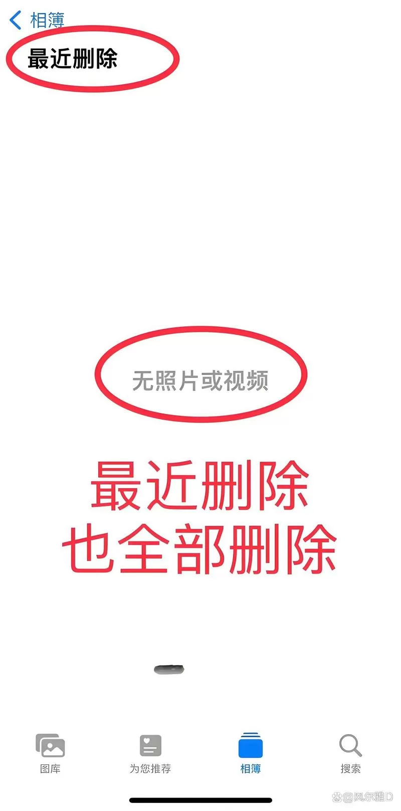 免费恢复永久删除的照片下载