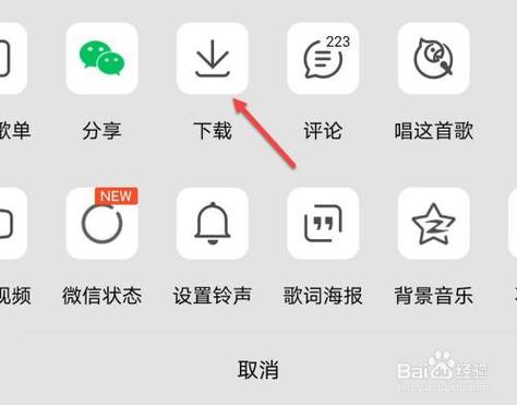 苹果手机qq音乐已下载怎么导出