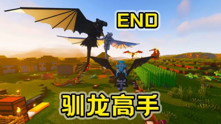木鱼我的世界驯龙高手第3季