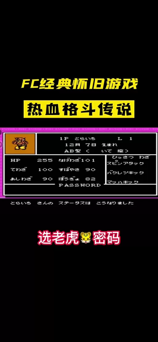 2005热血格斗中文版老虎密码