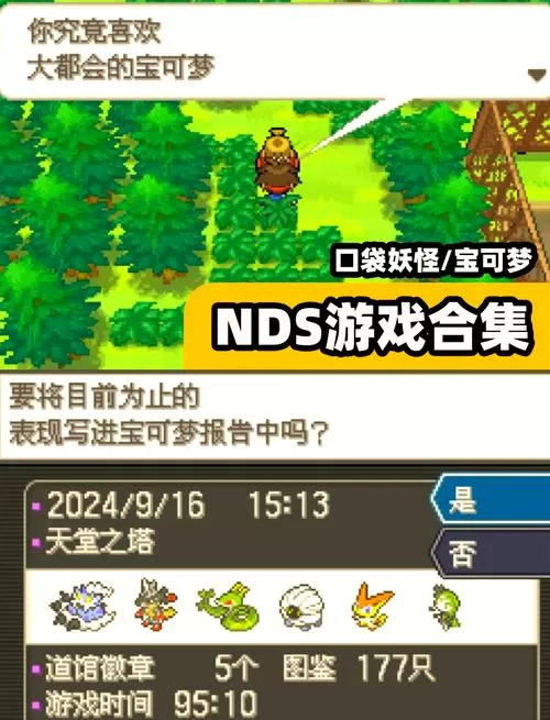 口袋妖怪nds白金金手指