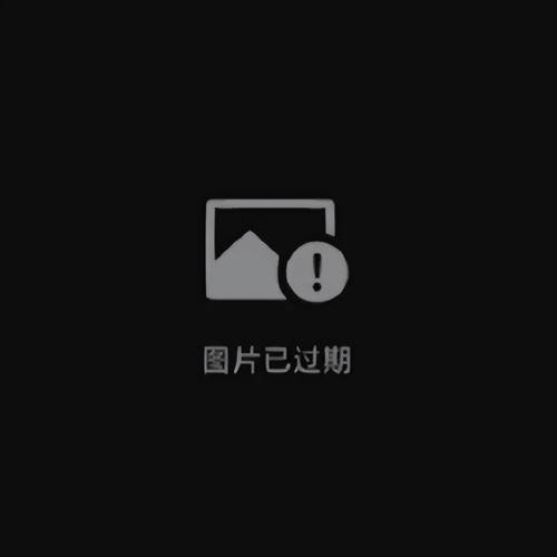 图片已过期图片