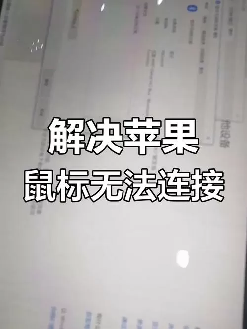 苹果电脑连接不到鼠标