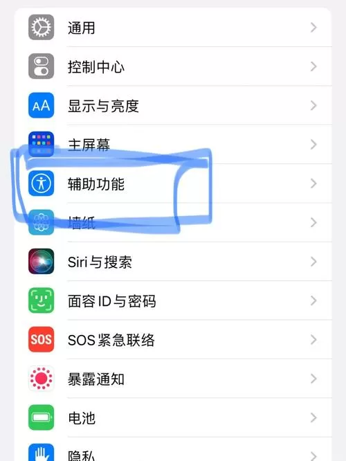 苹果悬浮球在哪里设置打开截图