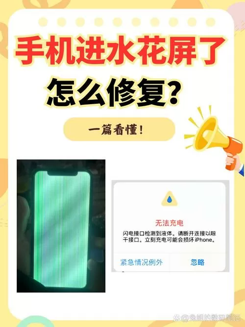 手机进水屏幕触摸不了怎么办