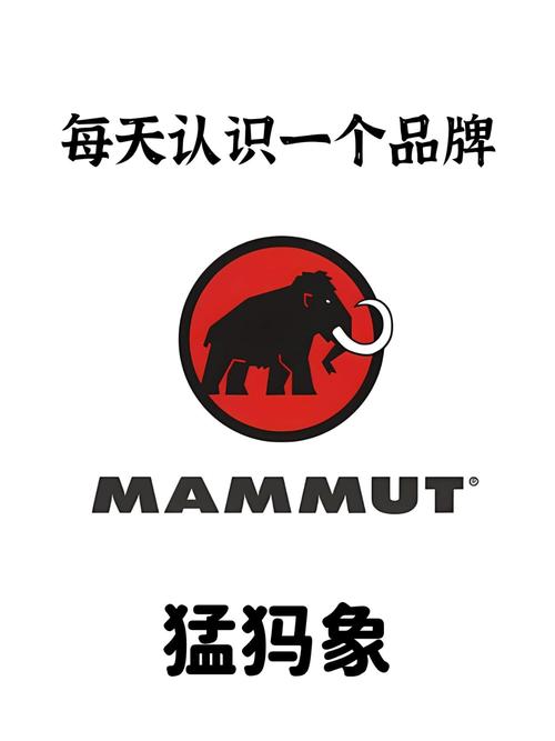 猛犸象户外专卖店地址