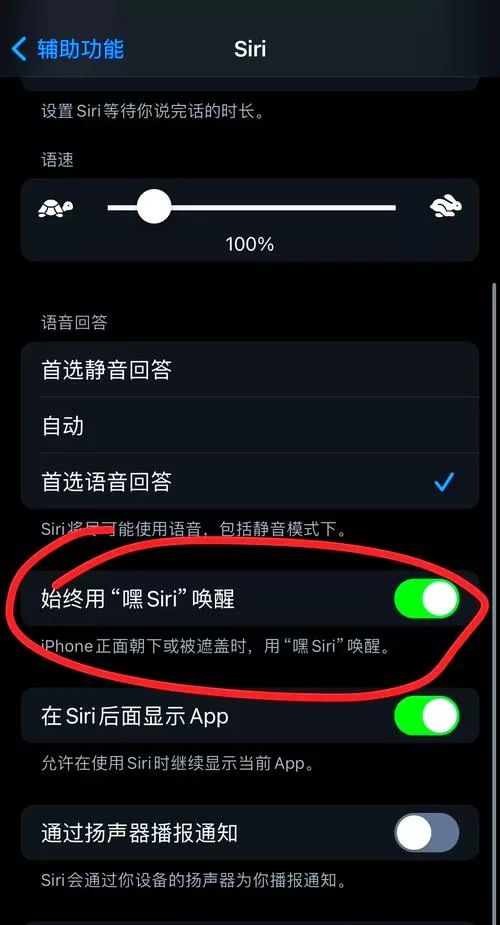 苹果手机打不开一直语音说话