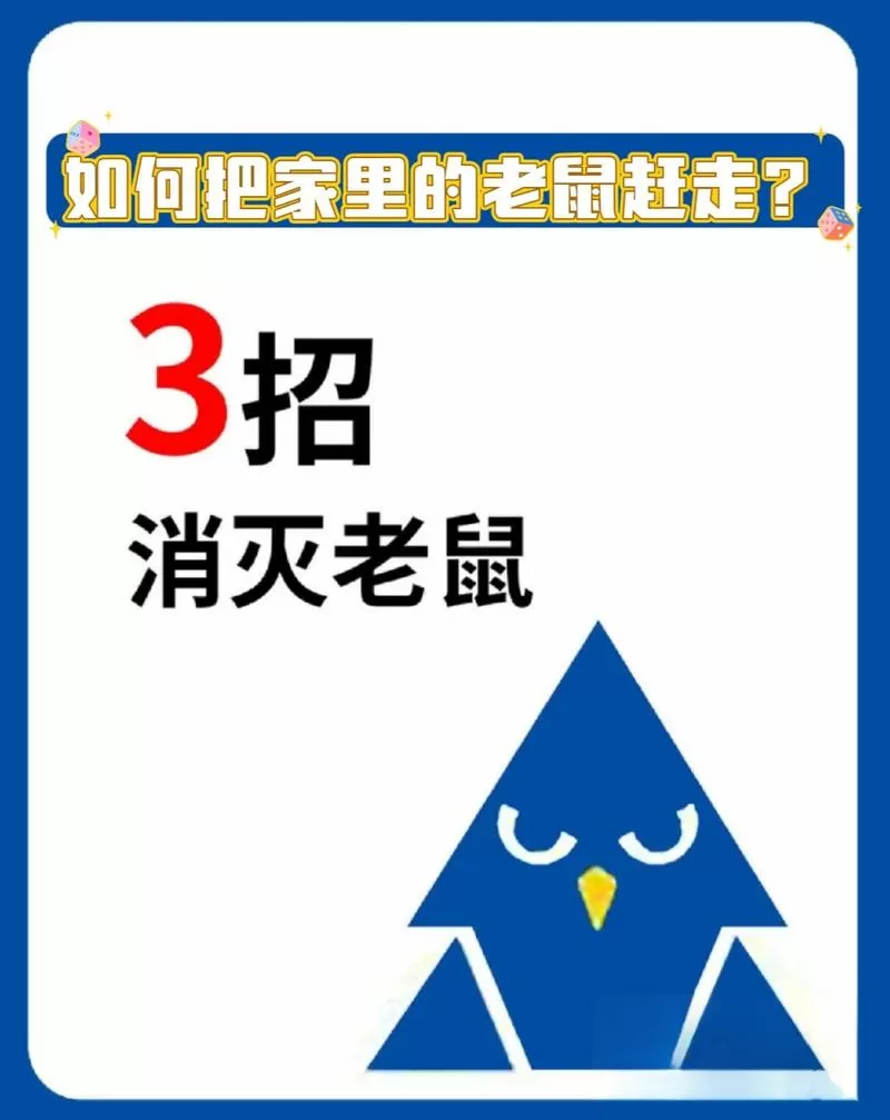 老鼠跑房间里来了如何赶走
