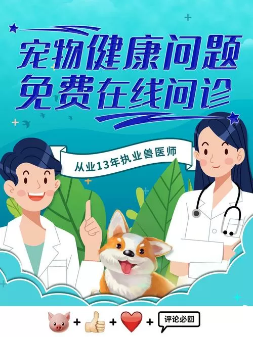 线上兽医在线咨询