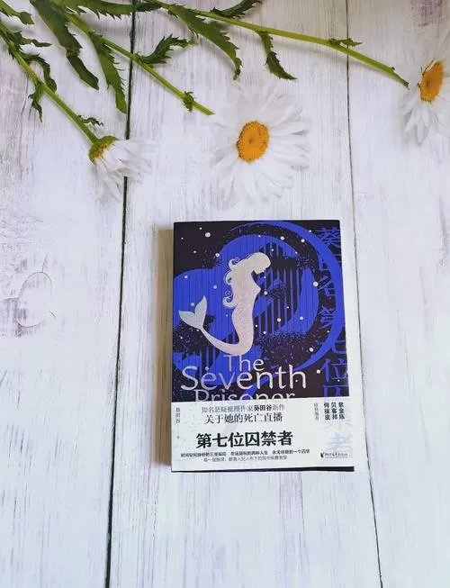 阴暗房间中的孤独物语完整版下载