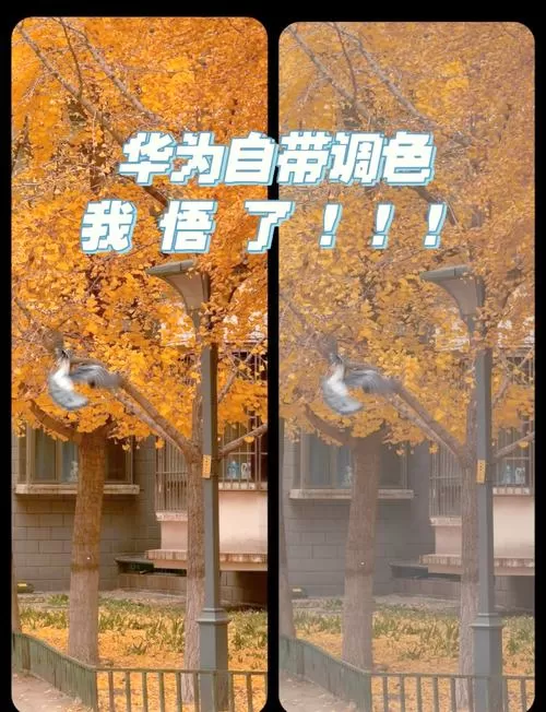 华为手机拍照色彩失真怎么调回来