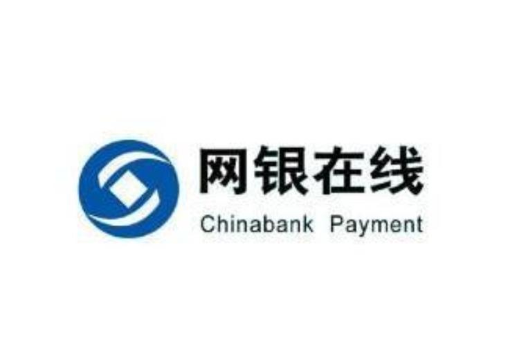 专业版网银