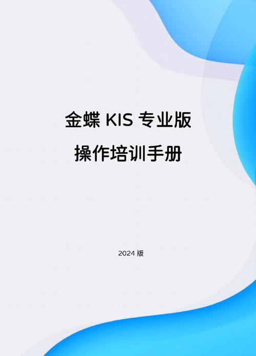金蝶软件kis专业版破解