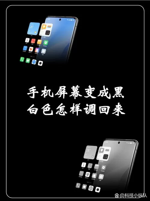 苹果手机变成黑底白字怎么调回来