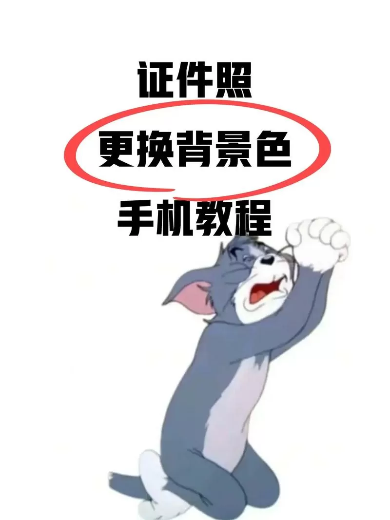 手机照片怎么换背景颜色