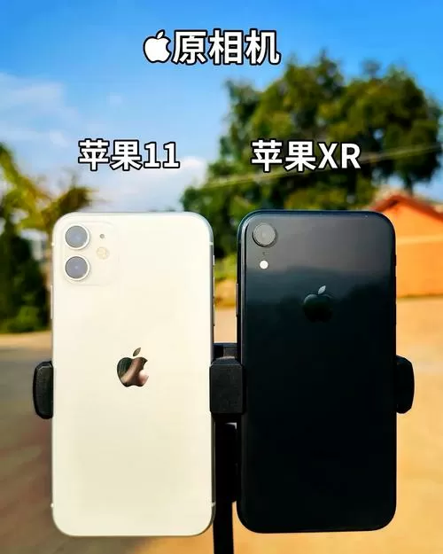 苹果11相机最大可以放几倍
