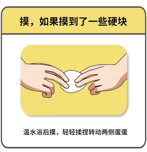 割睾丸教程