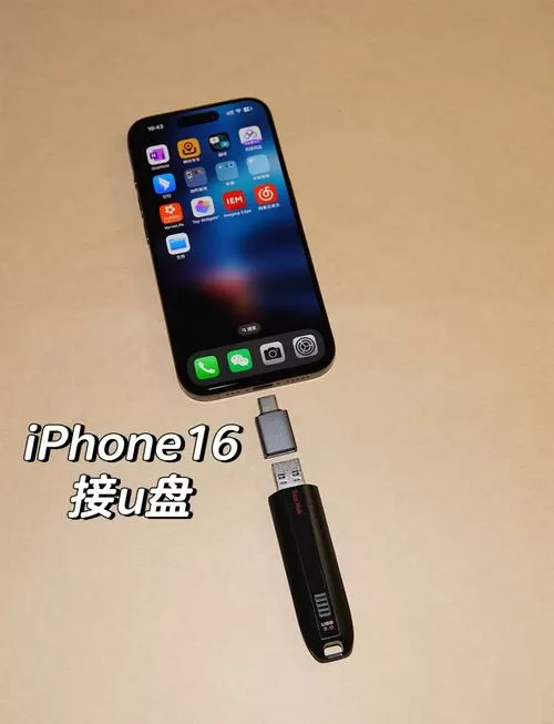 苹果手机怎么看虚拟u盘的文件