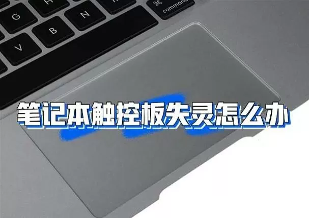 笔记本触摸板失灵了怎么恢复