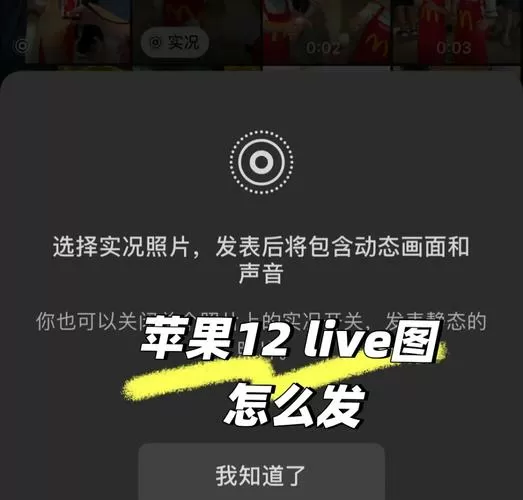 苹果手机实况照片怎么选定一张照片
