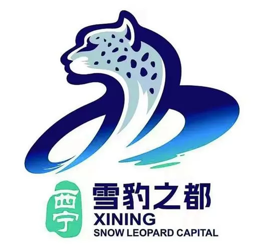 雪豹VIP账号