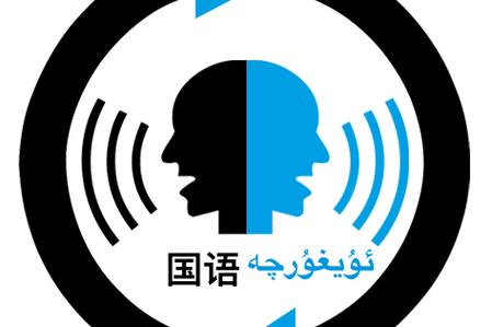 维汉通婚政策