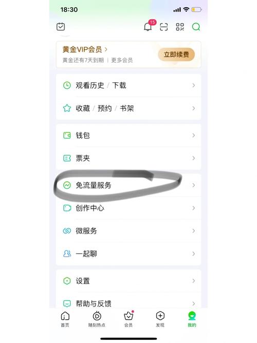 爱奇艺极速版兑换的会员怎么激活