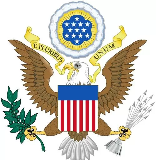 美国白雕