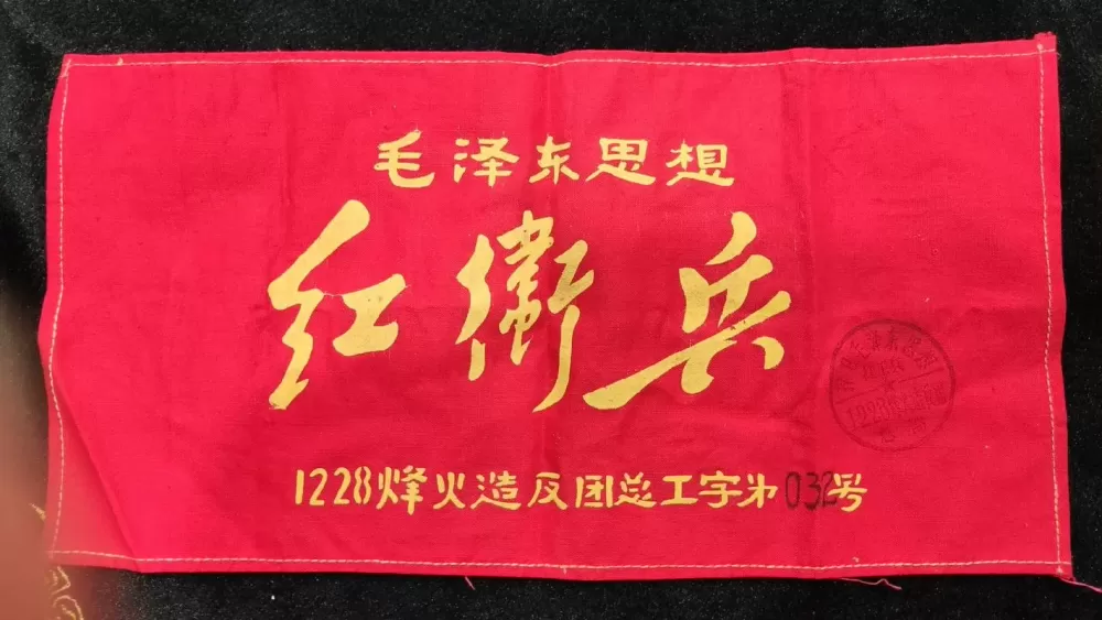 红卫兵是什么