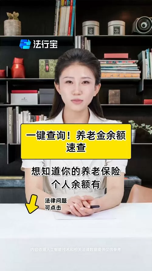 中国养老金网查询