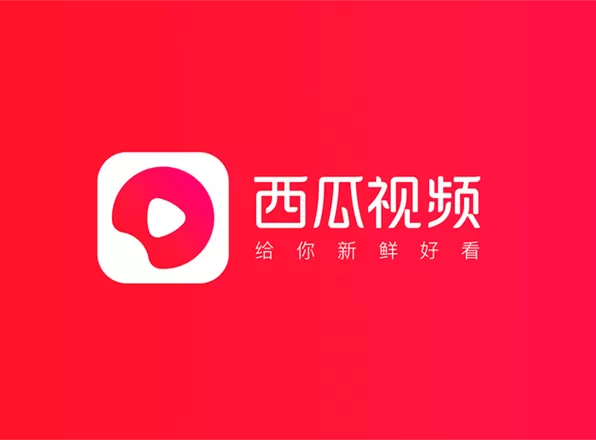 西瓜视频极速版安装包截图