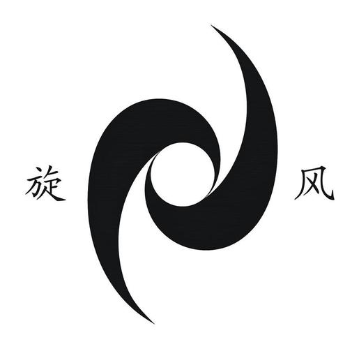 旋风专业版官网下载截图