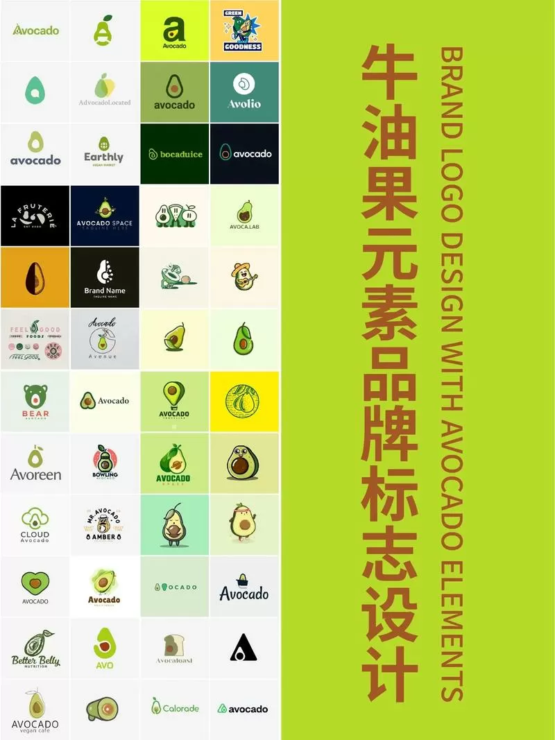 牛油果哪里的