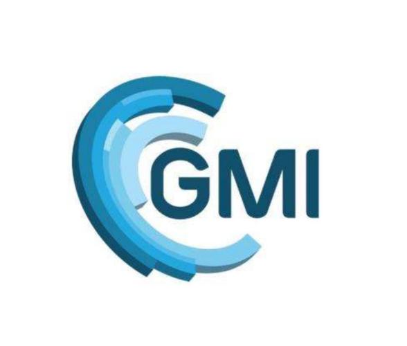 gg防闪框架