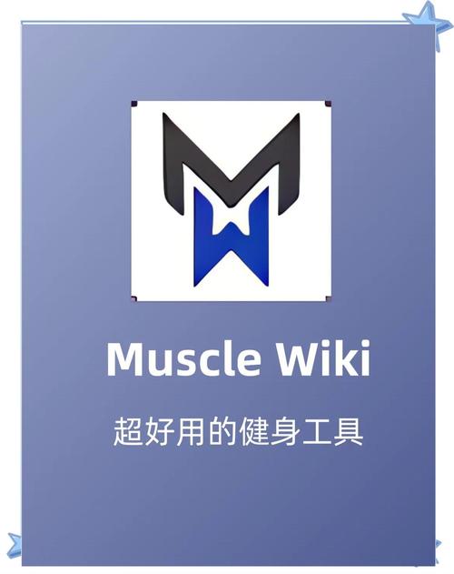 muscle groups