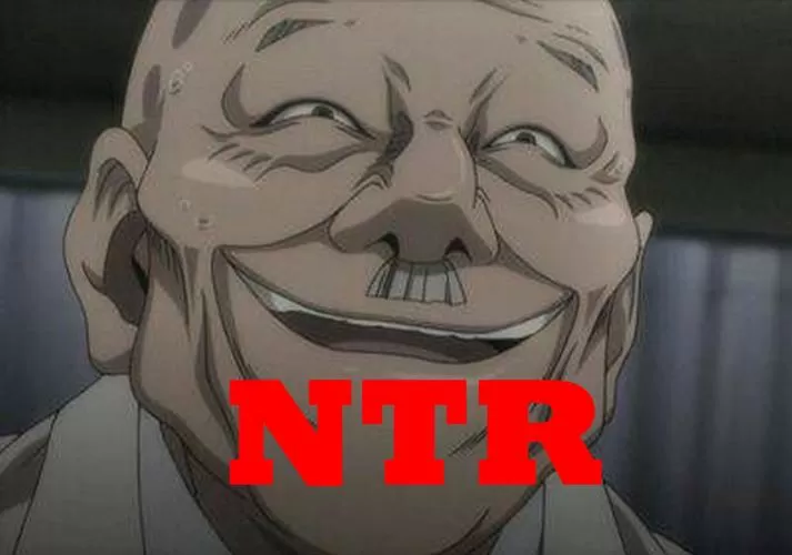 ntr安卓游戏资源