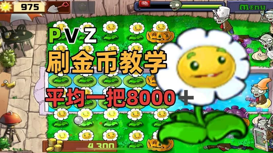5000阳光坚不可摧通关攻略