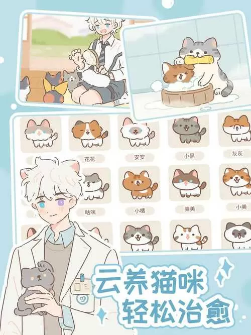 遇见你的猫动物投喂攻略