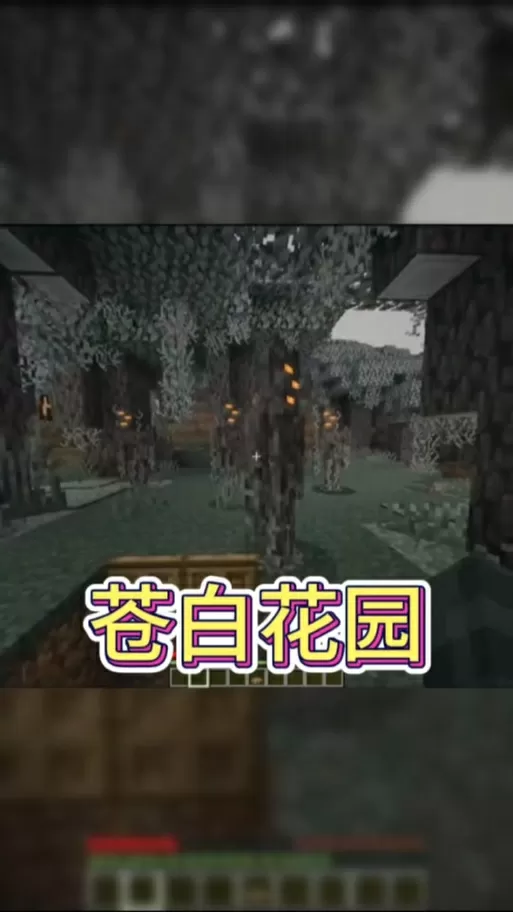 我的世界苍白之园指令