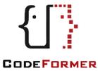 codeformer官网中文版下载