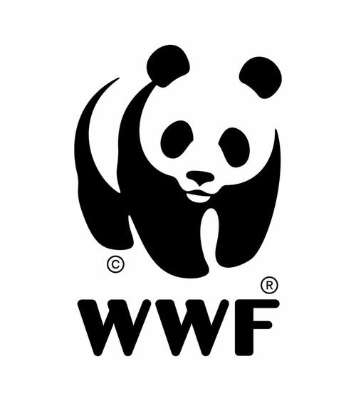 wwfit安卓下载